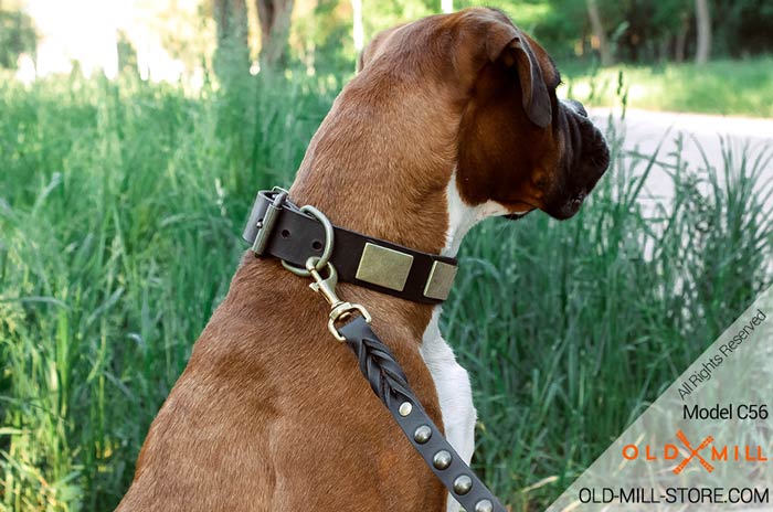 Boxer Collar with Vintage Brass Plates